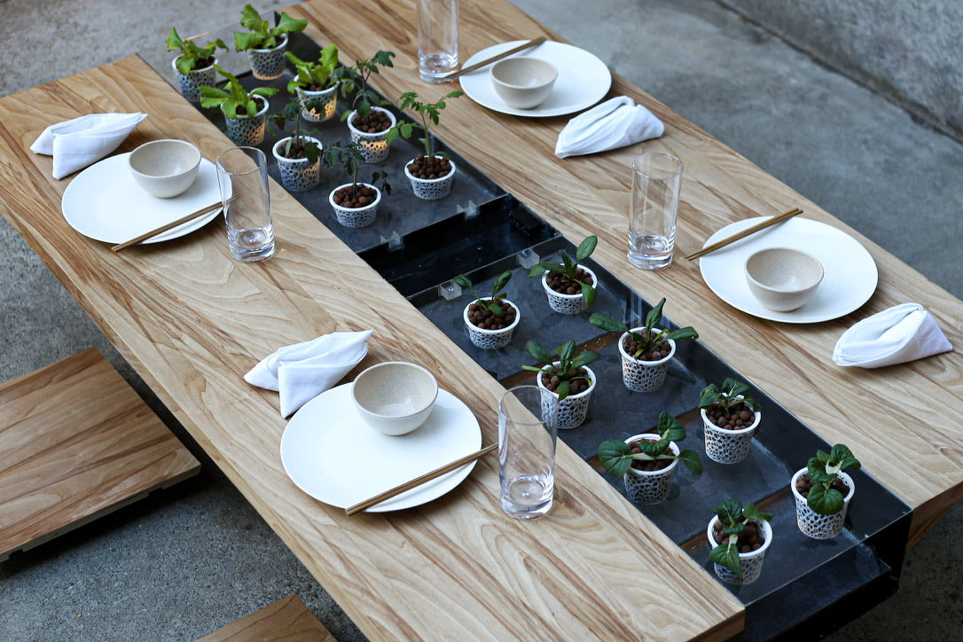 Hydroponic Table