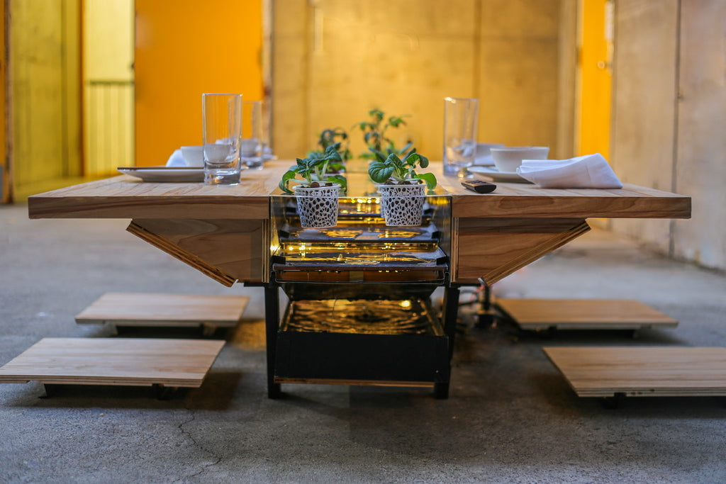 Hydroponic Table