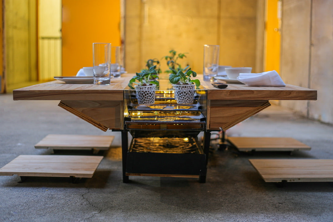 Hydroponic Table