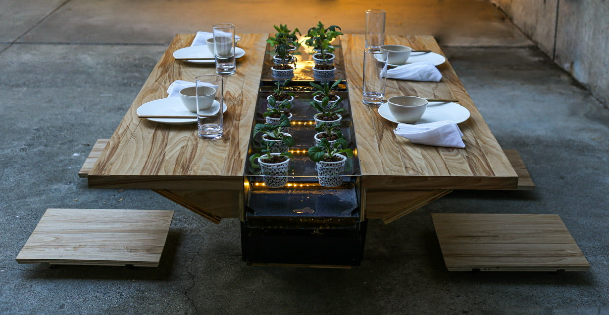 Hydroponic Table
