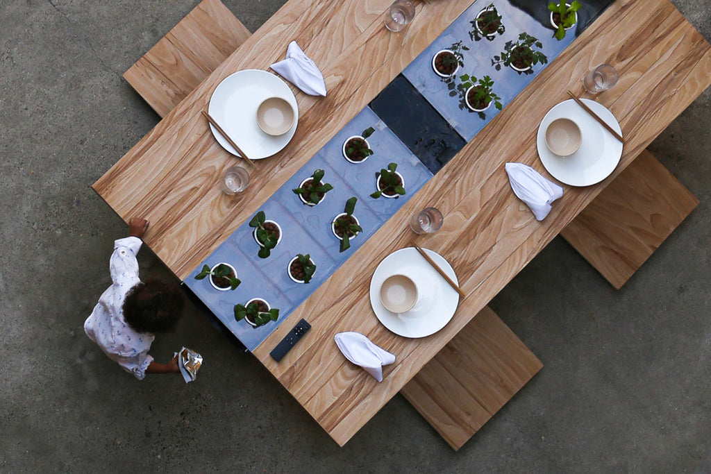 Hydroponic Table