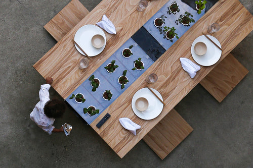 Hydroponic Table